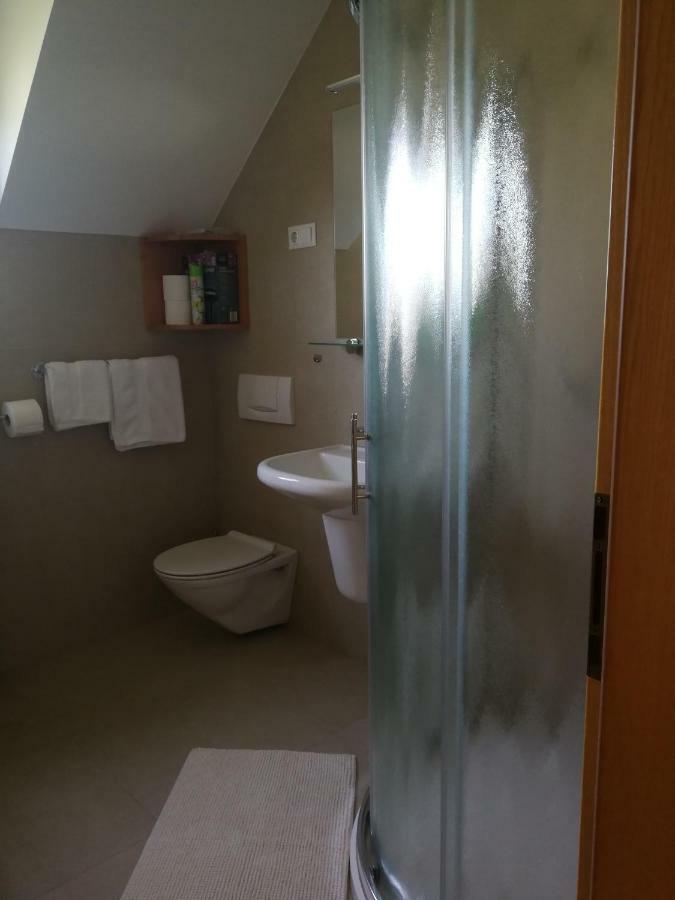Apartment Juric Maribor Dış mekan fotoğraf